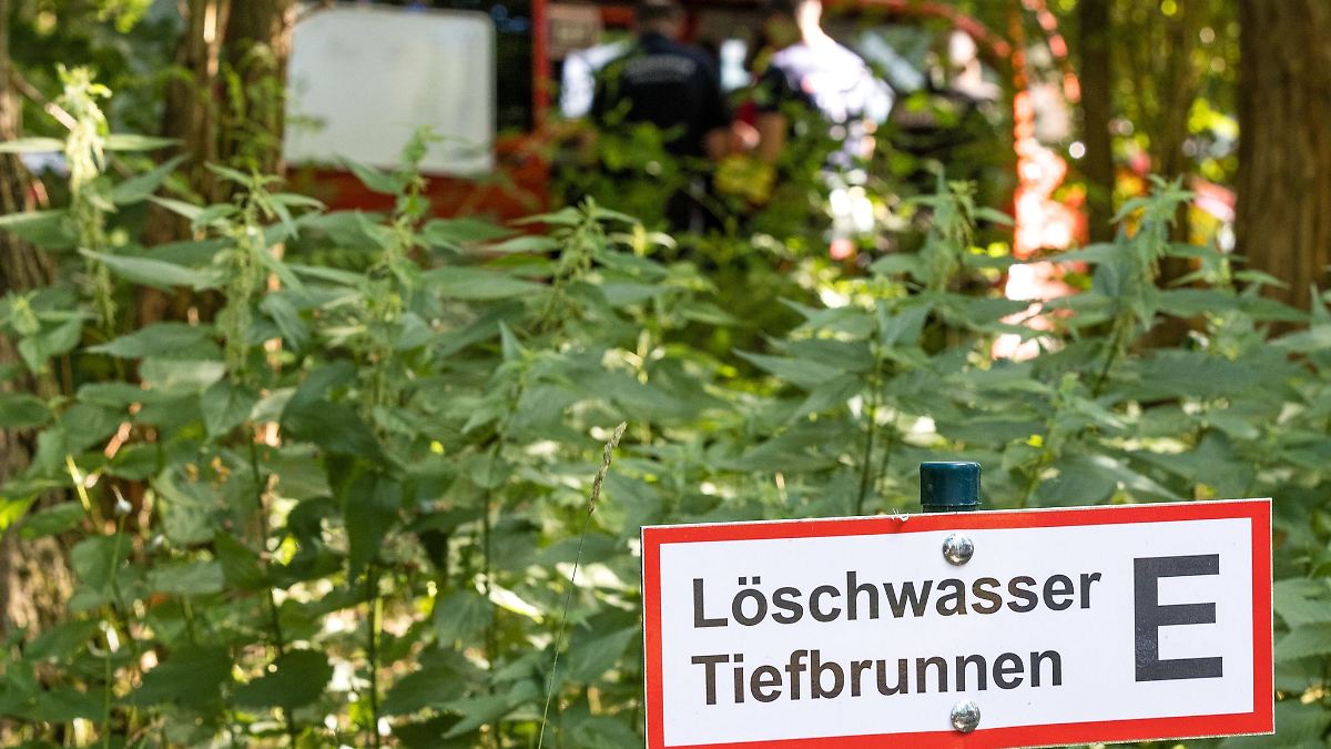 Berlin & Brandenburg: Waldbrandgefahr steigt wieder in Brandenburg