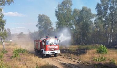Berlin & Brandenburg: Sehr hohe Waldbrandgefahr im Havelland