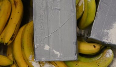 Berlin & Brandenburg: Polizei findet Drogen in Bananenkisten in Supermärkten