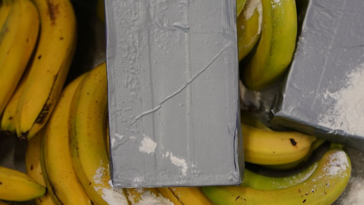 Berlin & Brandenburg: Polizei findet Drogen in Bananenkisten in Supermärkten