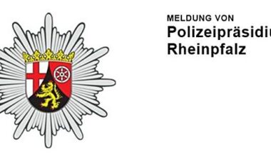 Kriminalstatistik der Stadt Ludwigshafen