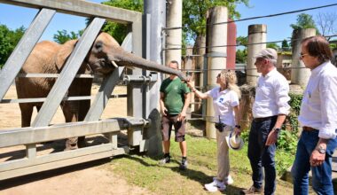 Bauverein Halle übernimmt Patenschaft für Tamika
