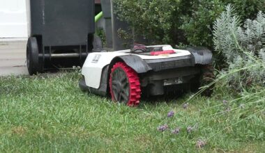 Hamburg & Schleswig-Holstein: Erste Städte wollen Nachtfahrverbot für Mähroboter einführen
