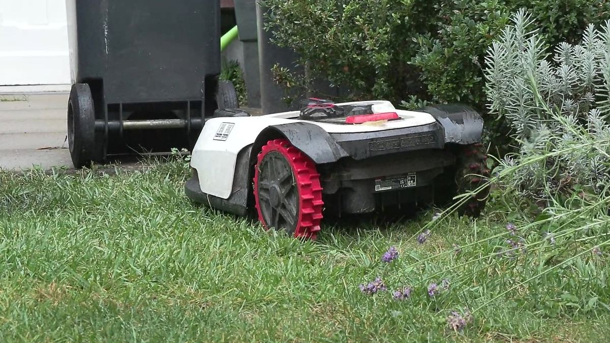 Hamburg & Schleswig-Holstein: Erste Städte wollen Nachtfahrverbot für Mähroboter einführen