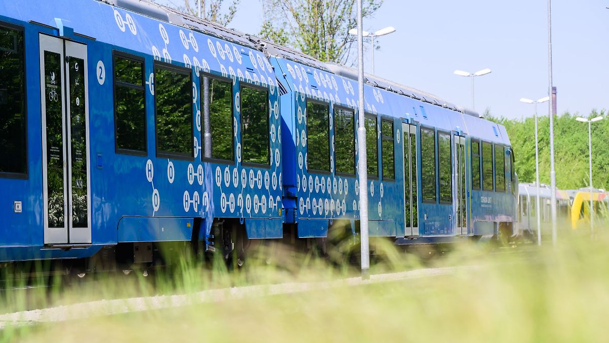Niedersachsen & Bremen: Rückreise vom Schulausflug: Mädchen geraten in Schlägerei