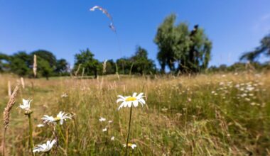 Berlin & Brandenburg: Heißer Sommerstart in Berlin und Brandenburg