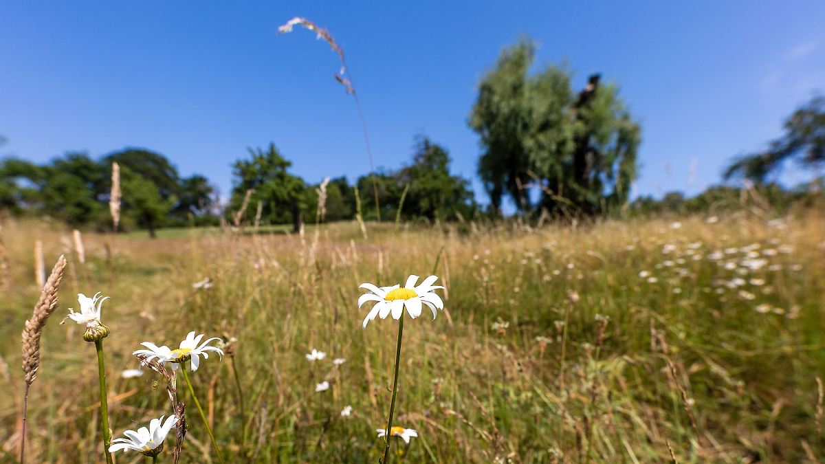 Berlin & Brandenburg: Heißer Sommerstart in Berlin und Brandenburg