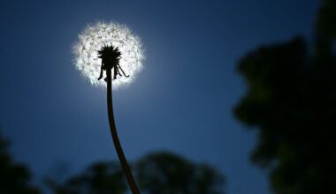 Berlin & Brandenburg: Sonne und bis zu 30 Grad für Berlin und Brandenburg