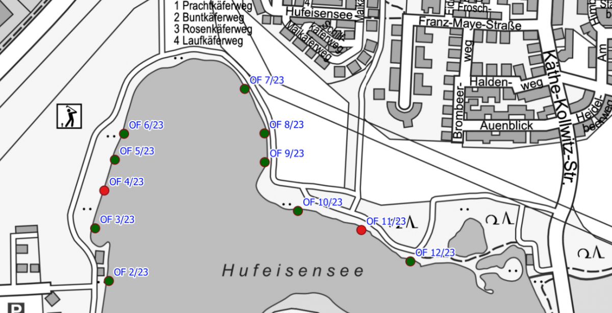 Stadtverwaltung hebt das Badeverbot im Hufeisensee in Halle (Saale) auf – „keine Grundlage mehr für ein Badeverbot“ – Du bist Halle