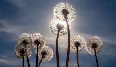 Berlin & Brandenburg: Freundliches Sommerwetter in der Hauptstadtregion