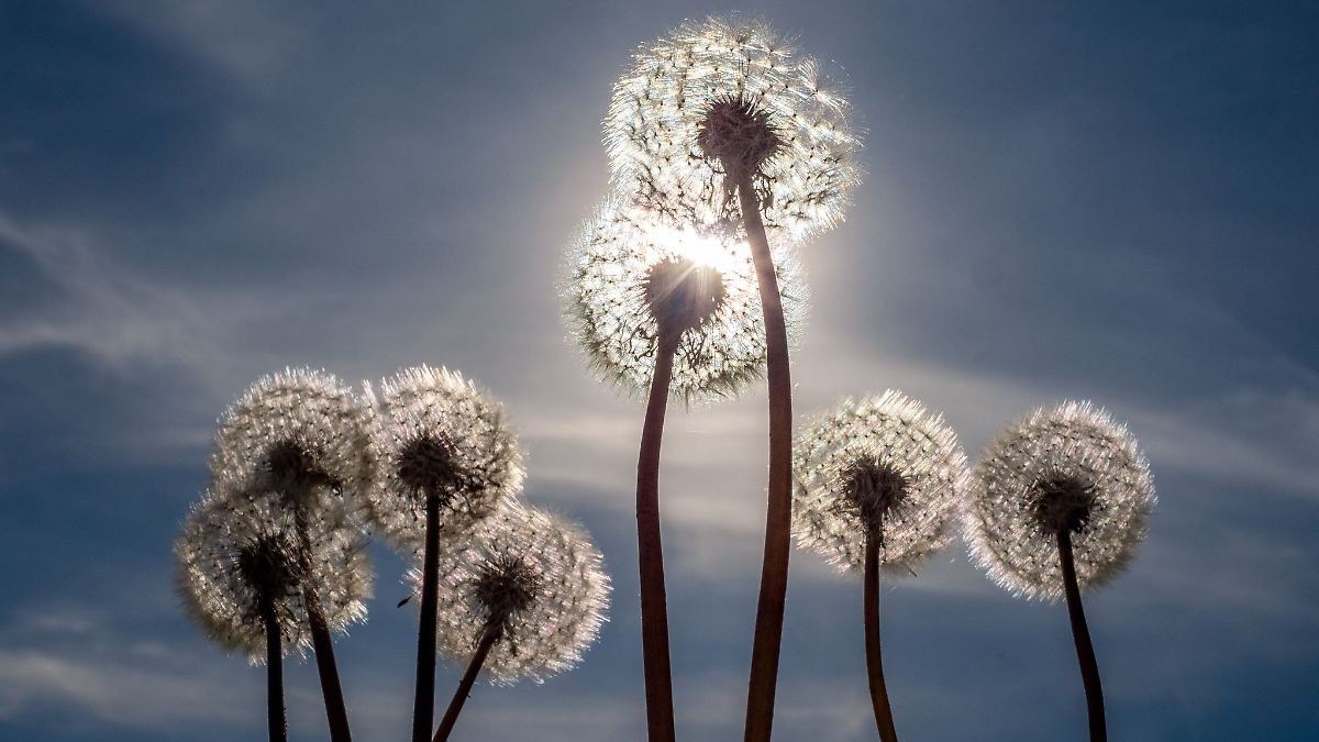 Berlin & Brandenburg: Freundliches Sommerwetter in der Hauptstadtregion
