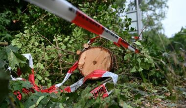 Berlin & Brandenburg: Unwetter über Brandenburg: Potsdamer Parks geschlossen