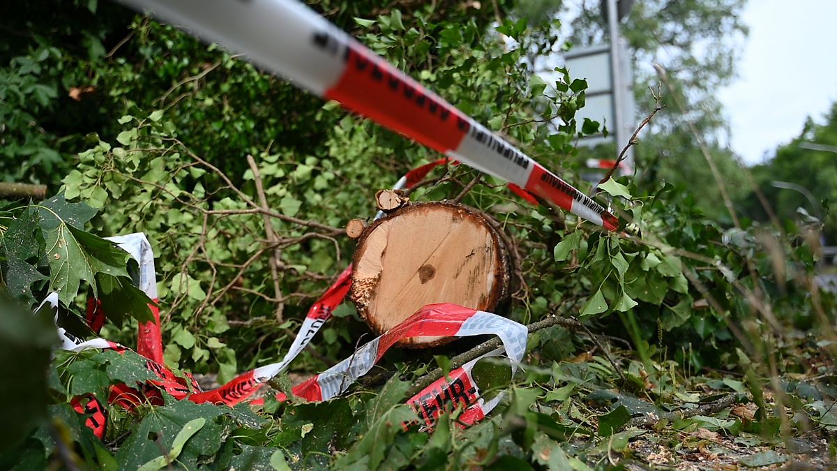 Berlin & Brandenburg: Unwetter über Brandenburg: Potsdamer Parks geschlossen