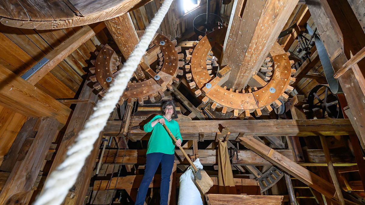 Berlin & Brandenburg: Brandenburger Mühlen feiern Jubiläum