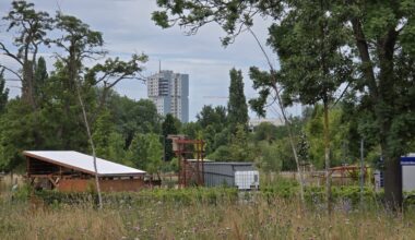 Erneut sterben Jungbäume am Gimritzer Damm in Halle (Saale) ab – Du bist Halle