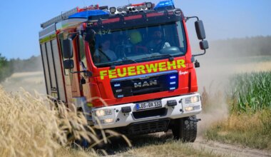 Landkreis Erlangen-Höchstadt - Waldbrand nördlich von Nürnberg löst Großeinsatz aus - Bayern