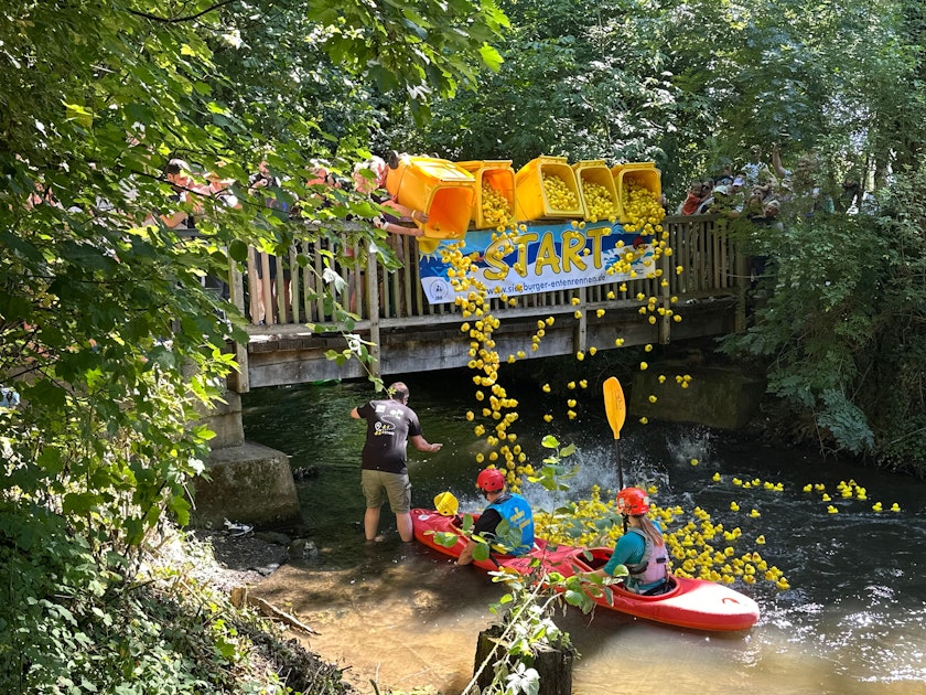 Siegburg: 3000 gelbe Gummienten lieferten sich ein Wettrennen