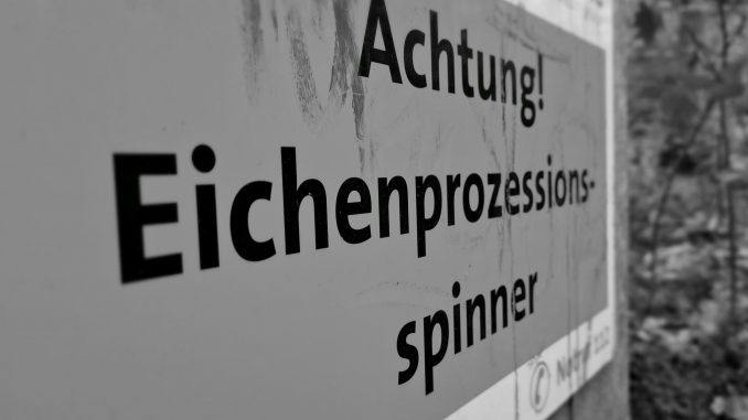 Achtung Eichenprozessionsspinner