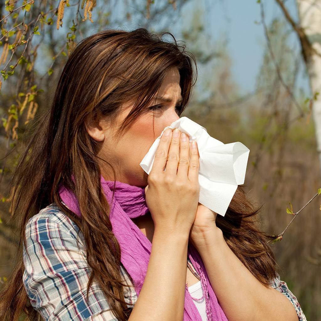 Viele Pollen aktuell in der Luft