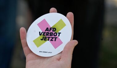 Grüne fordern Sonder-Innenministerkonferenz zum AfD-Verbot