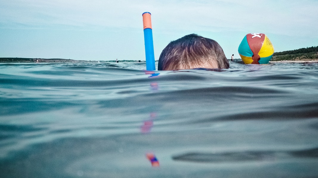 Tag der Meere in Kiel-Düsternbrook: Projekt "Snorkeling City" | NDR.de - Nachrichten