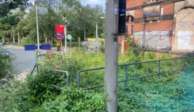 Moritzburger Grundsteuerrebell fordert Handeln gegen Wildwuchs am Bahnhof