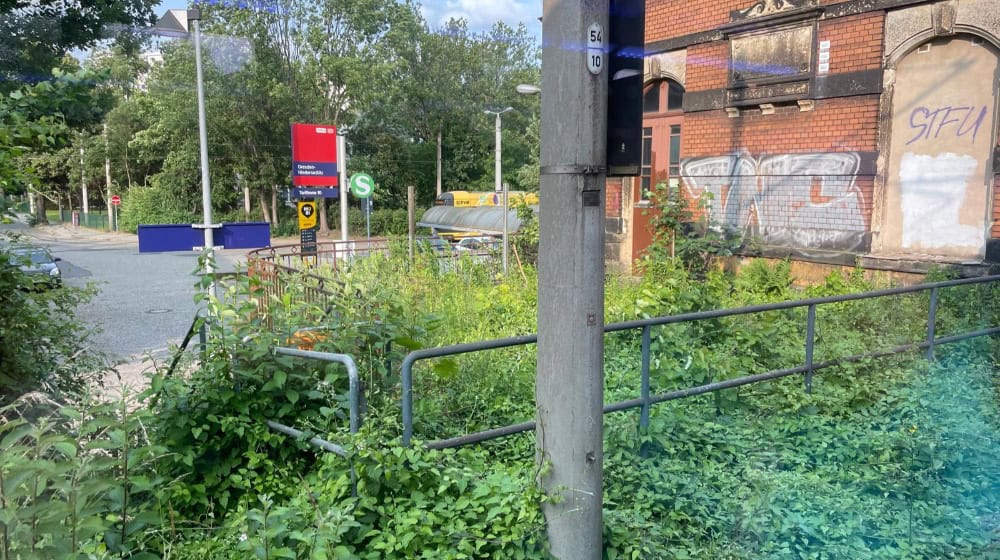 Moritzburger Grundsteuerrebell fordert Handeln gegen Wildwuchs am Bahnhof