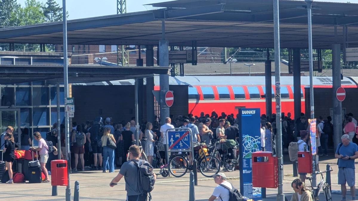 Chaos auf Bahnstrecke Hamburg-Lübeck: Böschungsbrand an Strecke