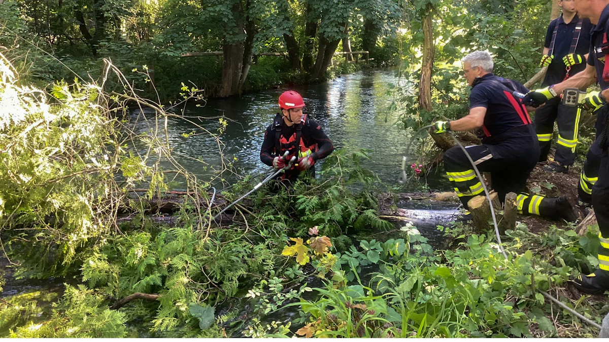 Thalkirchen: Bäume im Auer Mühlbach gefährden Schwimmer - München