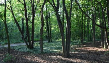Berlin: Ukrainer in Park mit Messer angegriffen – mutmaßlich wegen seiner Herkunft