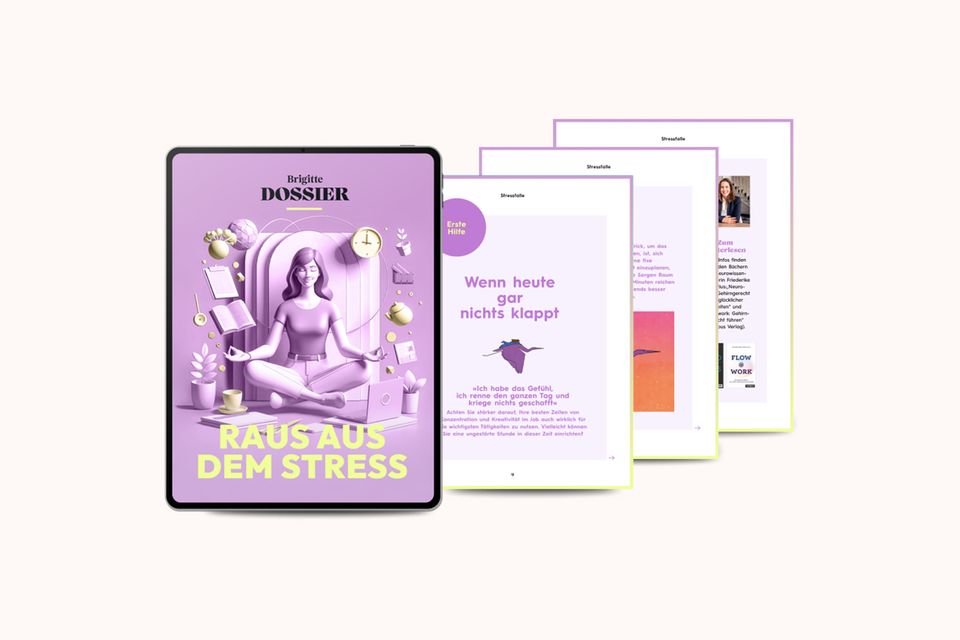 Dossier-Angebot der Brigitte