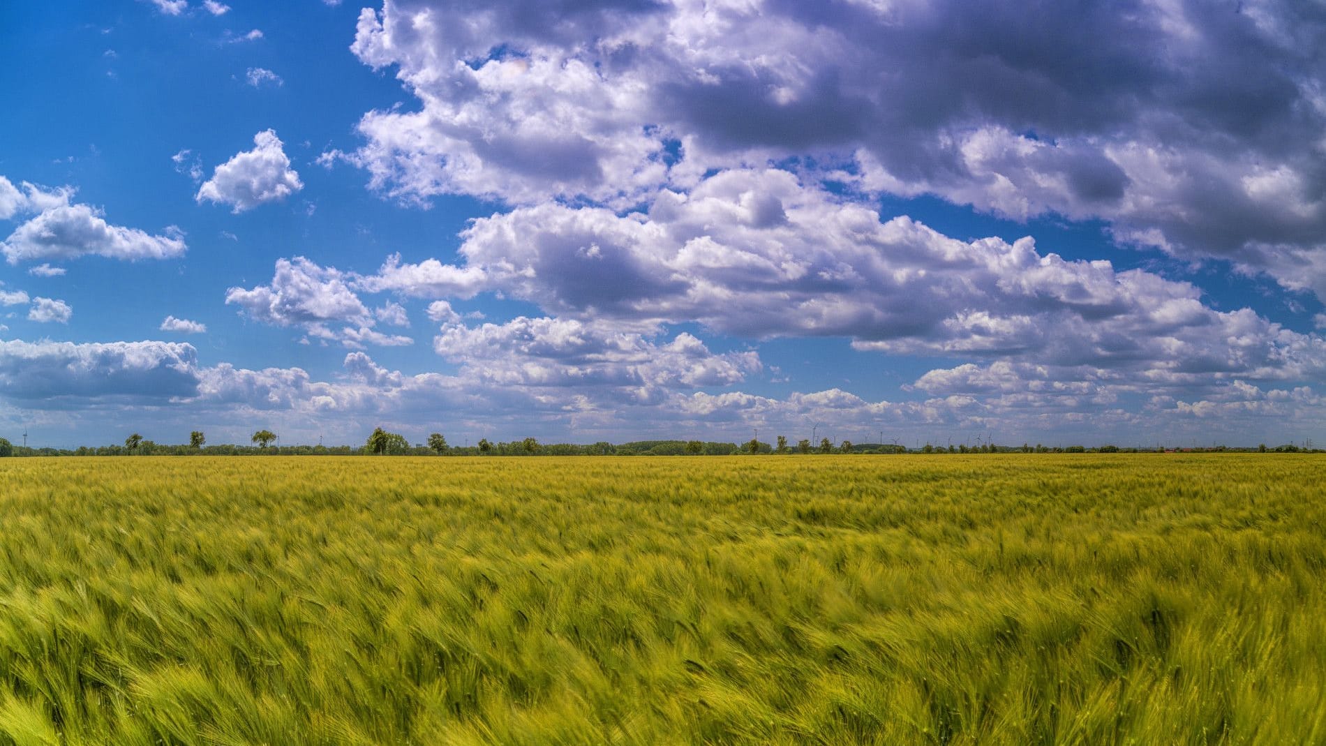Blauer Himmel, Wolken und Sonne über einem Feld (Symbolbild): Zum Ende der Woche wird das Wetter in Braunschweig wieder angenehm warm.