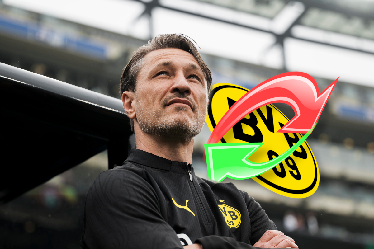 Borussia Dortmund wildert bei Konkurrenz! Verstärkung kommt