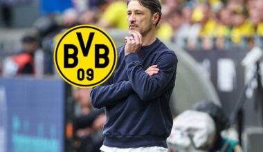 Borussia Dortmund: Mega-News kurz vor Klub-WM! BVB verkündet sie selbst