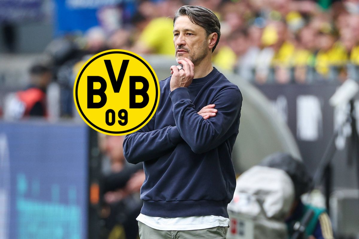 Borussia Dortmund: Mega-News kurz vor Klub-WM! BVB verkündet sie selbst