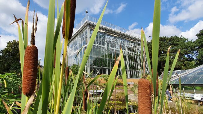 Botanischer Garten