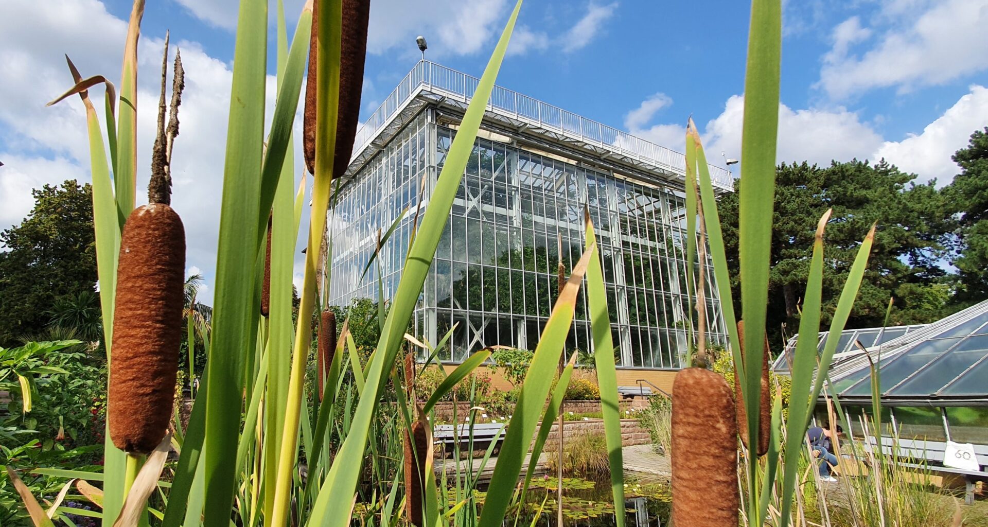 Benefizkonzert des Universitätschores im Botanischen Garten