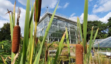 Benefizkonzert des Universitätschores im Botanischen Garten