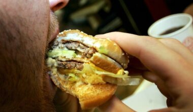 Essen und Gehirn: Warum das Handy beim Essen dick machen kann