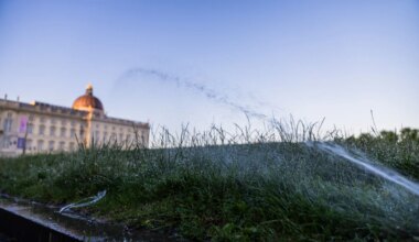 Bis zu 39 Grad - Neue Woche bringt Hitze in Berlin und Brandenburg - Panorama