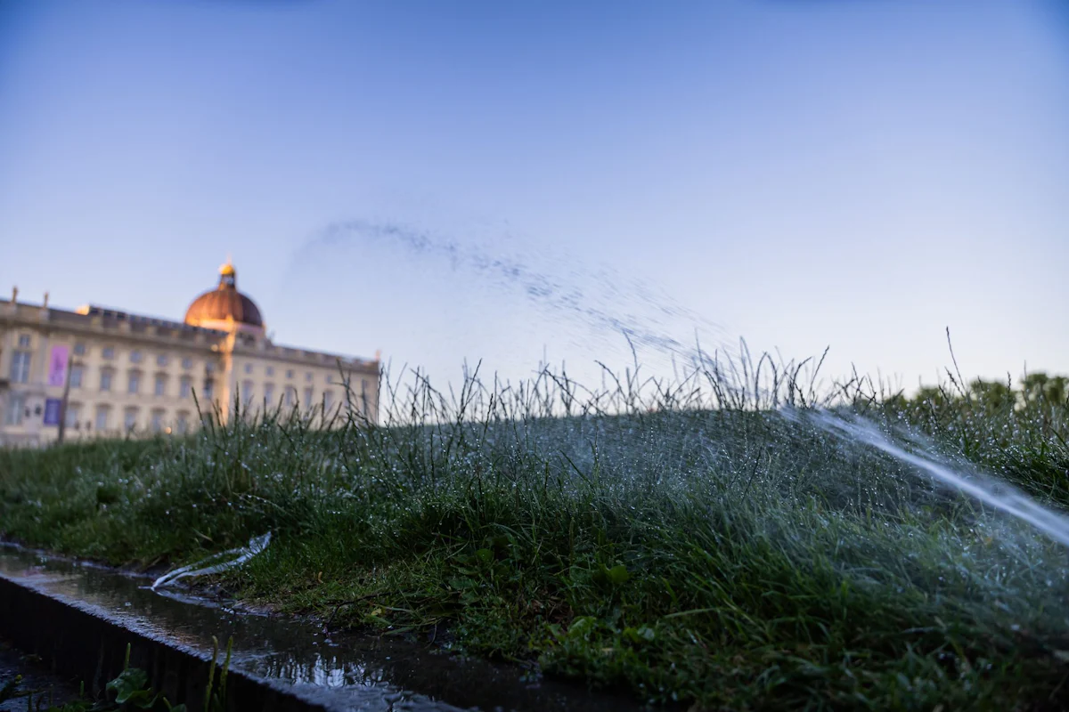 Bis zu 39 Grad - Neue Woche bringt Hitze in Berlin und Brandenburg - Panorama