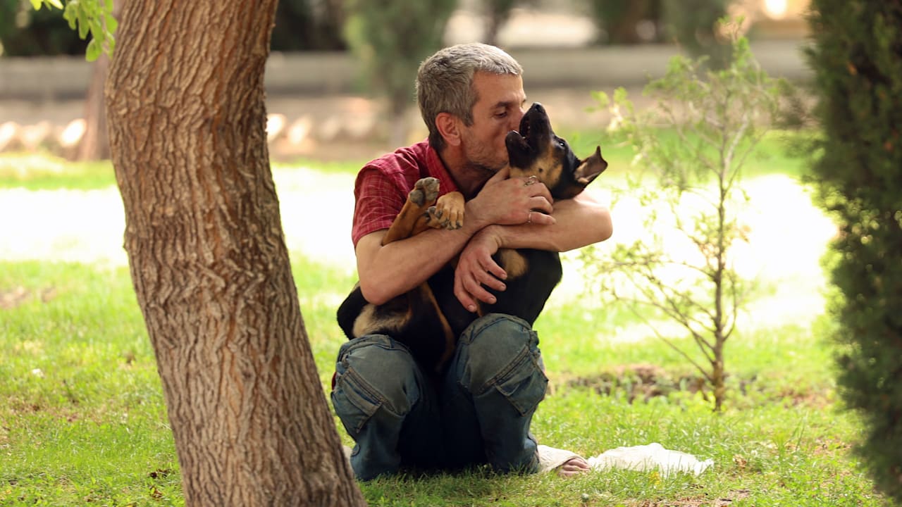 In 20 Städten: Iran verbietet Gassigehen mit Hunden | Politik