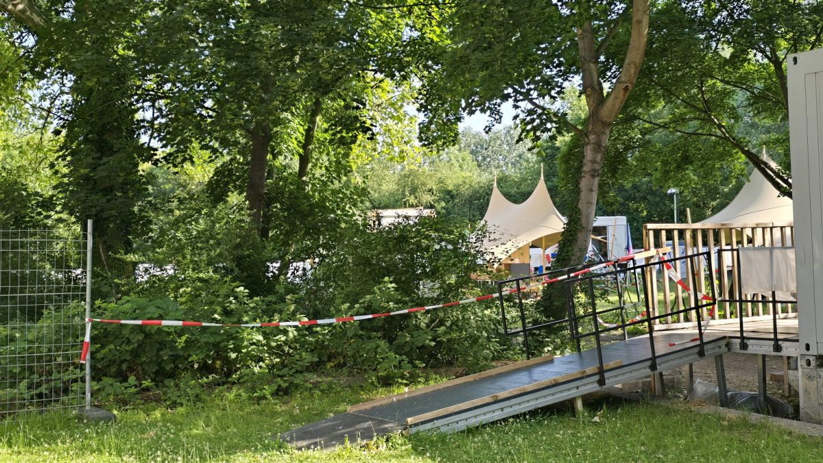 hier ist er in Halle (Saale) aktiv, und das macht die Stadt dagegen – kein stärkerer Befall als im Vorjahr – Du bist Halle