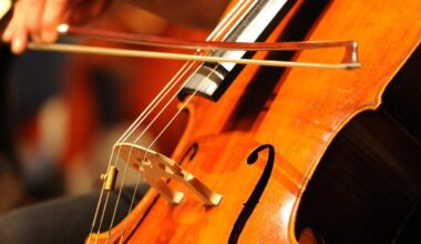 Konkurrenz durch Online-Handel: Musikgeschäfte sterben aus