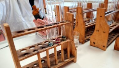 Mehr Schülerinnen und Schüler in Sachsen-Anhalt