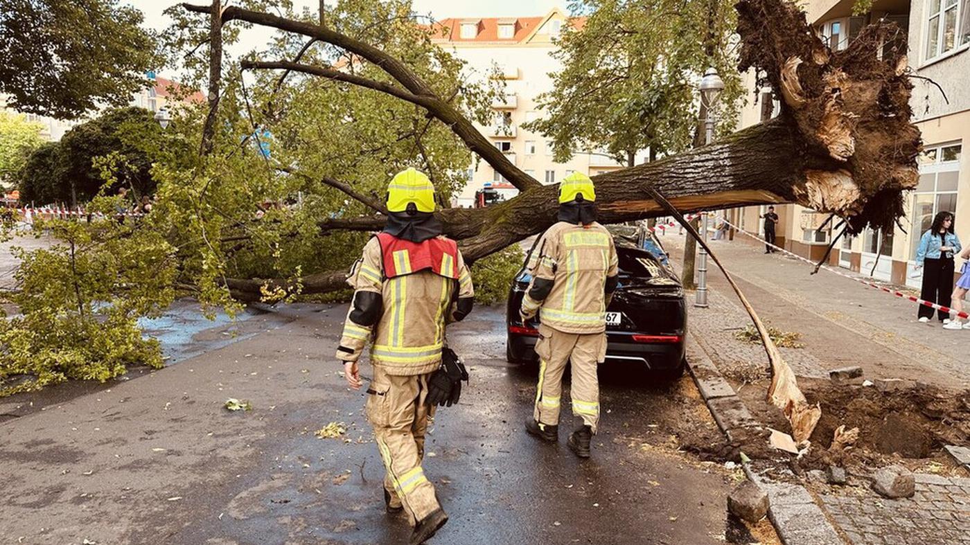 In Parks droht am Freitag Lebensgefahr, Feuerwehr zählt mehr als 860 Einsätze
