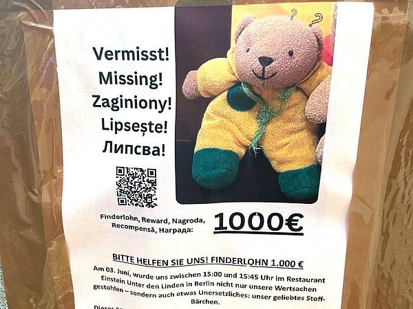 Berlin/Bielefeld | Teddy verzweifelt gesucht: 1.000 Euro für «Mini» ausgesetzt