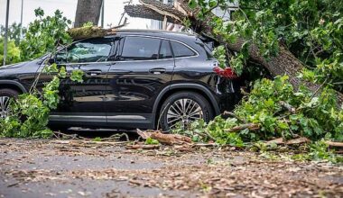 Berlin | Nach Sturm-Chaos: Bahn-Verkehr in Berlin läuft wieder an