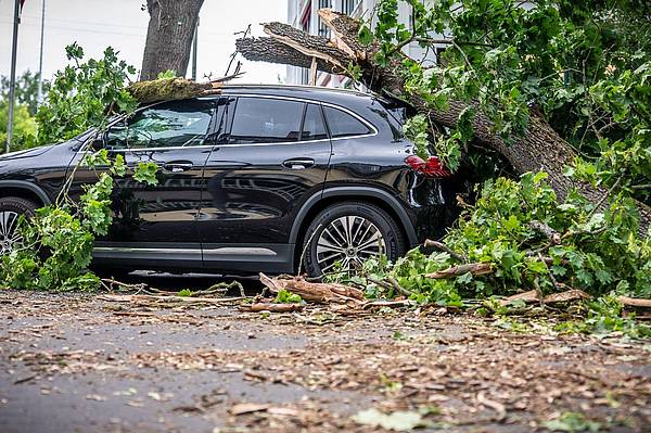 Berlin | Nach Sturm-Chaos: Bahn-Verkehr in Berlin läuft wieder an