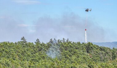 Notfälle - Waldbrand nahe Nürnberg - Wohnheim vorsorglich evakuiert - Bayern